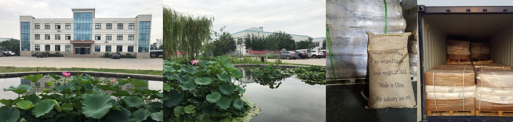 酰胺阳离子拼图.jpg