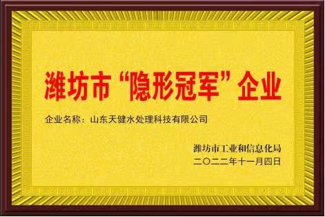 隐形.jpg
