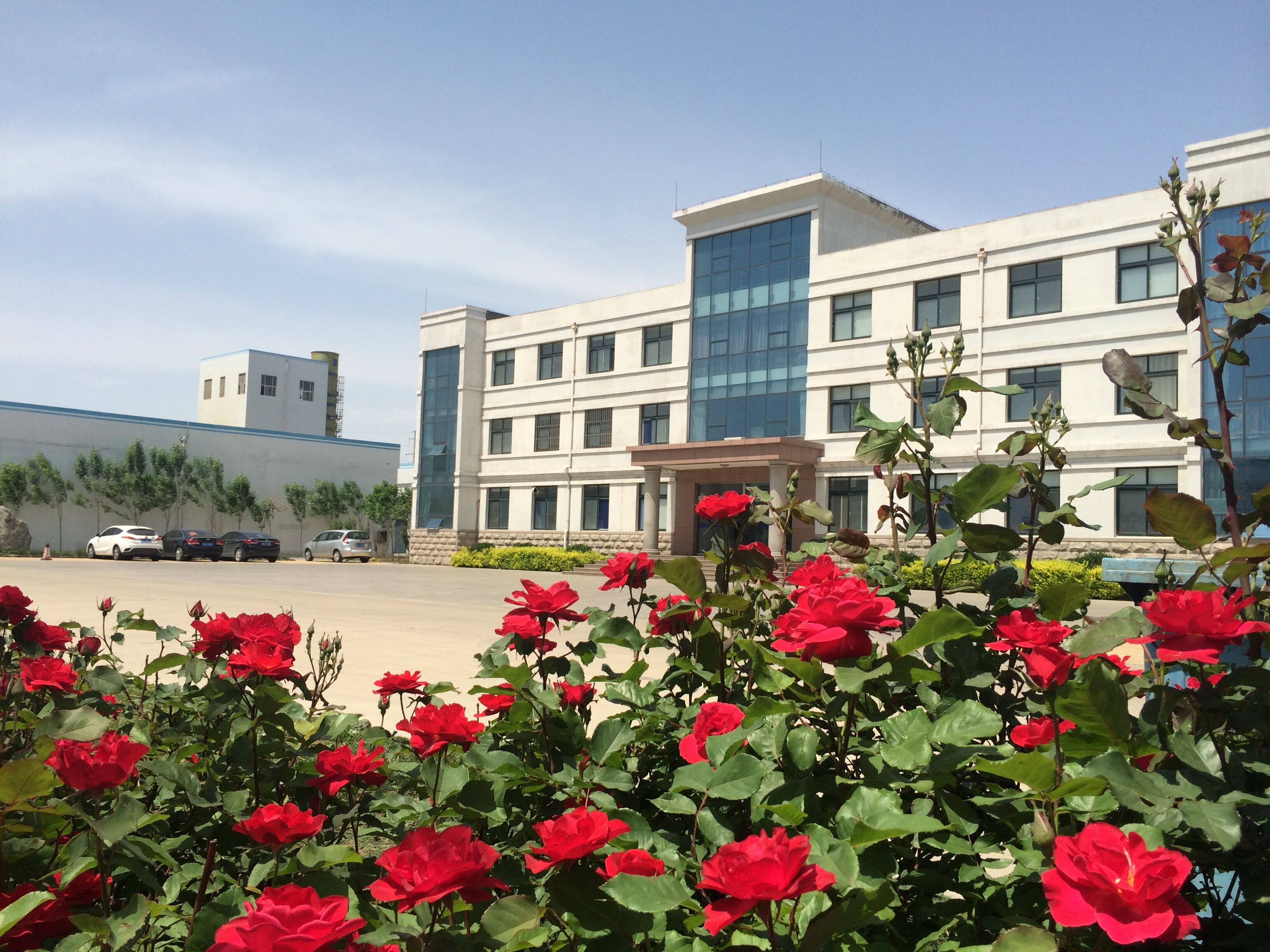 1742201130749908.jpg 1742201130749908.jpg