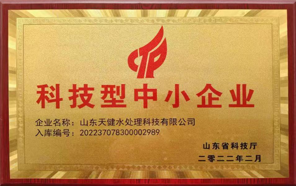 科技型中小企业